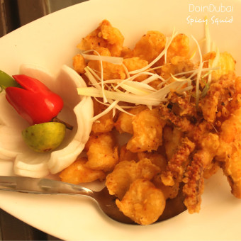 Spicy Squid Zen Garden Visiiting Nairobi