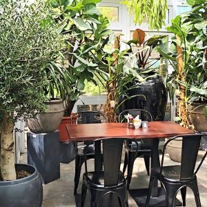 Monica Selects DoinDubai - new co working place