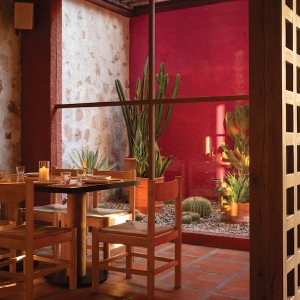 Friday Business Lunch Cocina Tres NEW